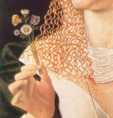 Alleged portrait of Lucrezia Borgia, BARTOLOMEO VENETO